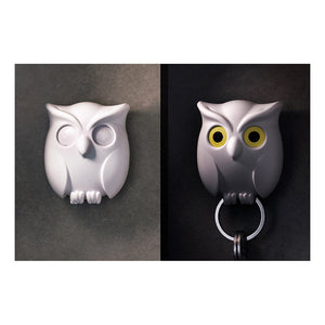 Night Owl / Key Holder