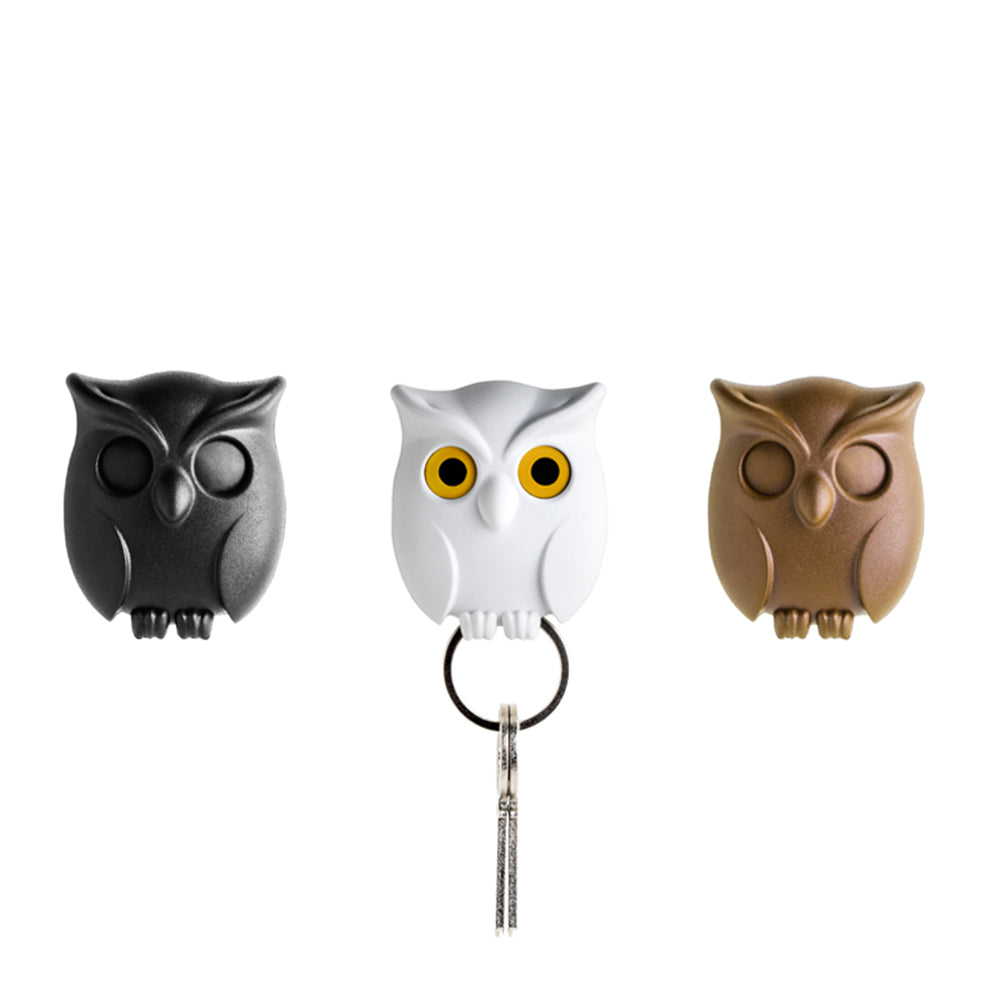 Night Owl / Key Holder