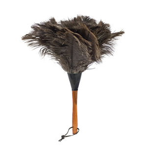 Ostrich Feather Duster