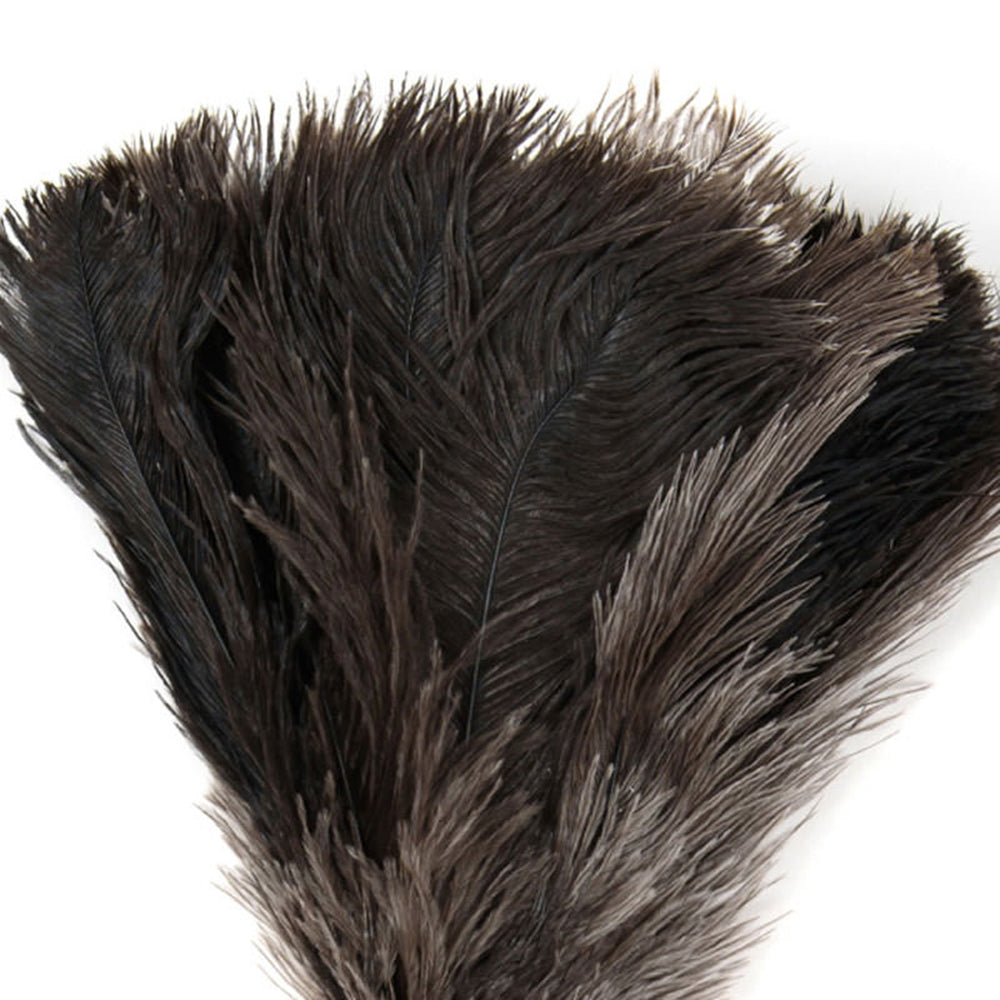 Ostrich Feather Duster