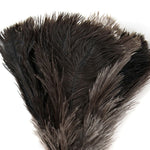 Ostrich Feather Duster