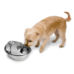 Raindrop Premium Stainless Steel Drinking Fountain