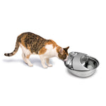 Raindrop Premium Stainless Steel Drinking Fountain