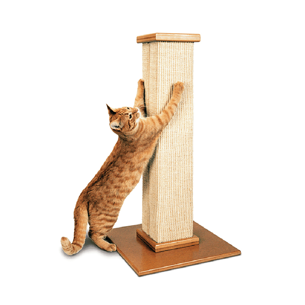 The Ultimate Scratching Post